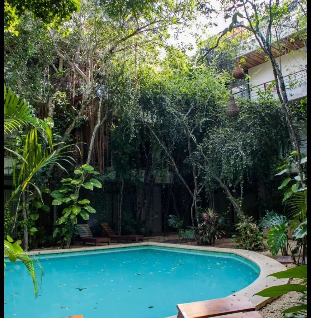 Apartmán Refugio Armonia Con Piscina Privada - Harmony Retreat With Private Pool Tulum