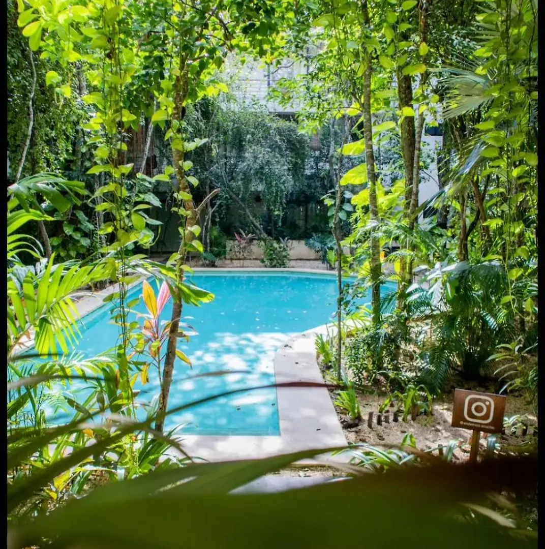 Apartmán Refugio Armonia Con Piscina Privada - Harmony Retreat With Private Pool Tulum